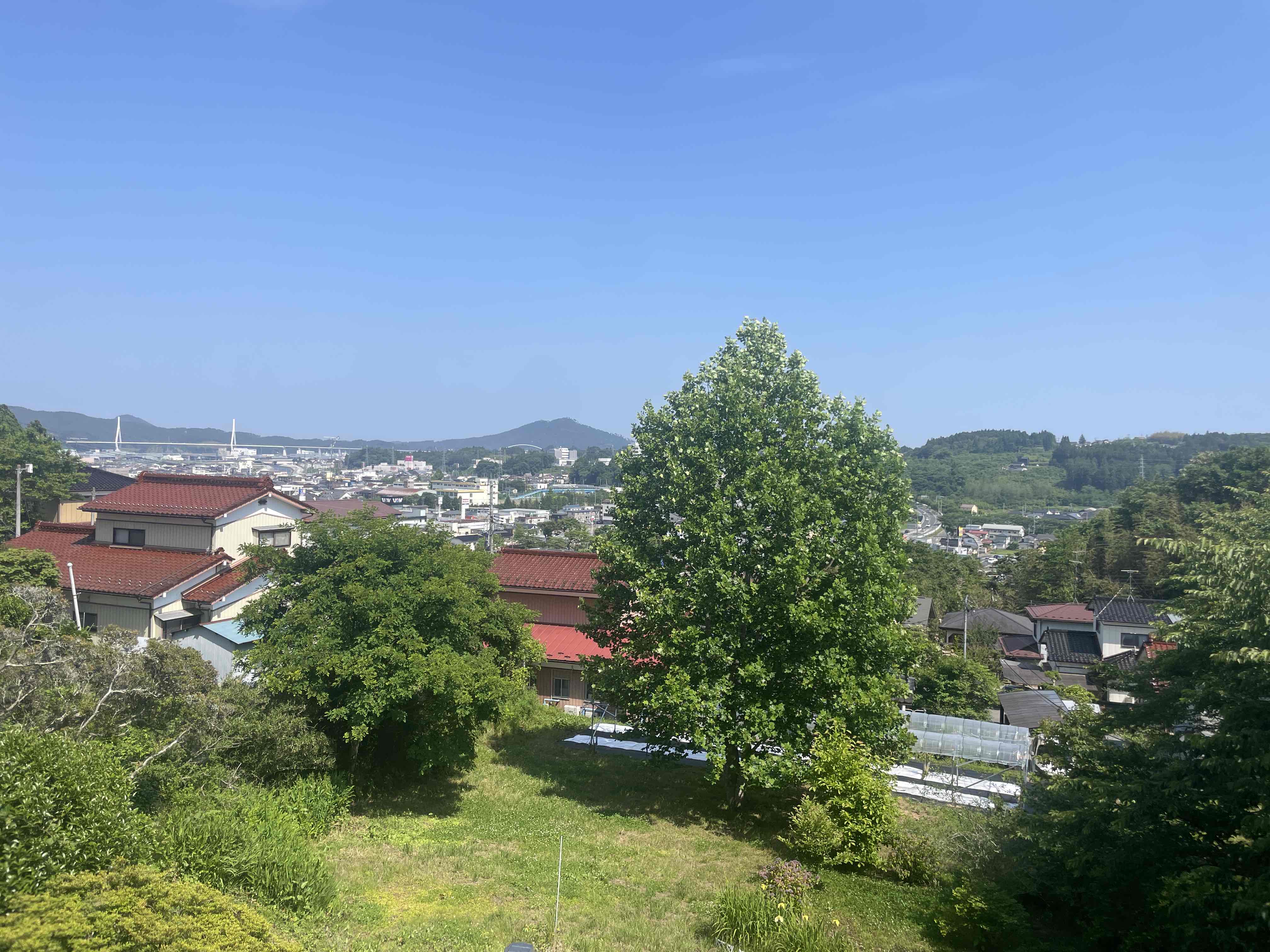 4. 地域活性化への貢献