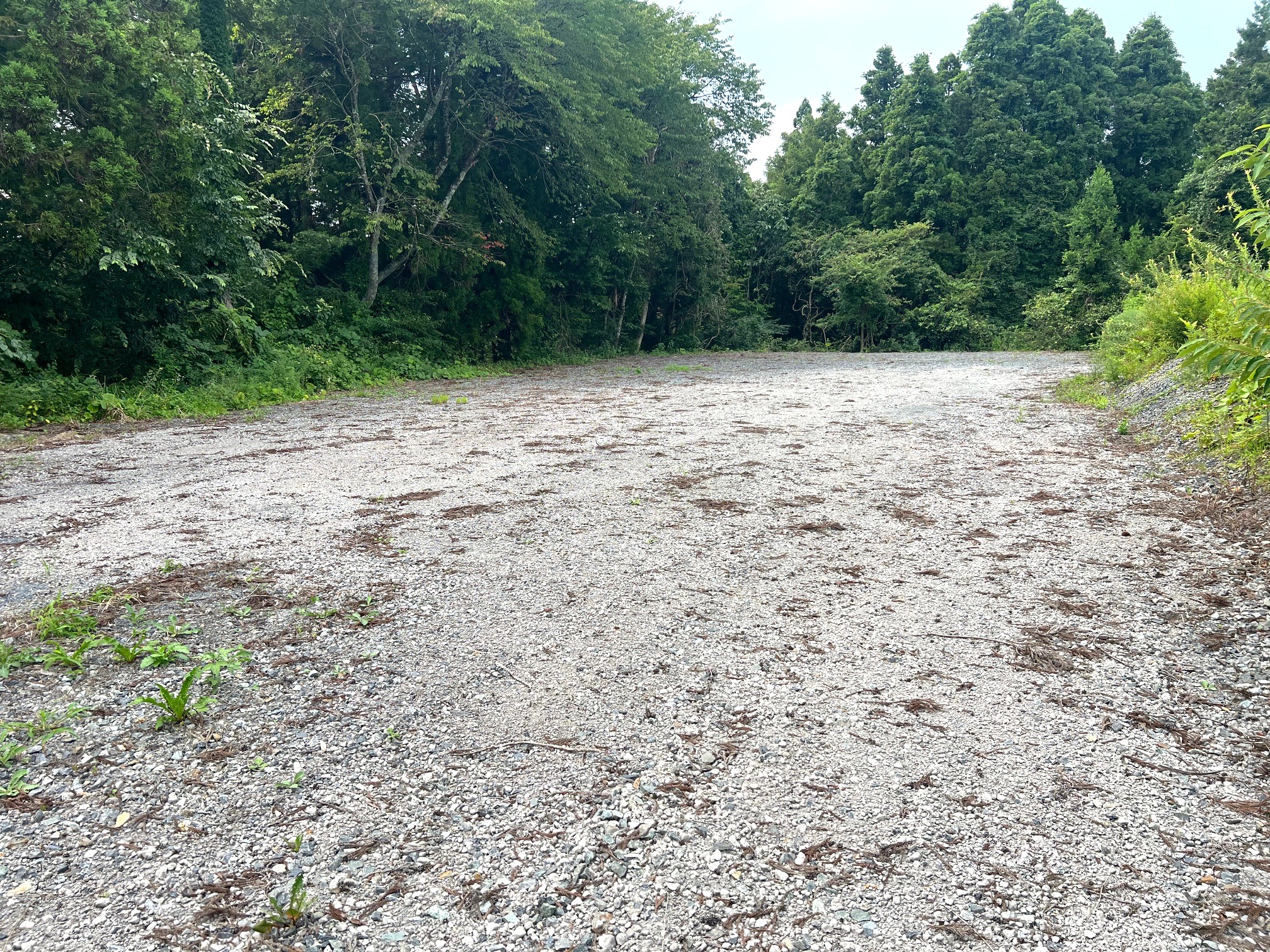 3499605_m